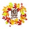 Hot autumn sale advertisement banner, poster, retail, discount,