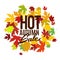 Hot autumn sale advertisement banner, poster, retail, discount,