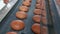 Hot baked bread loafs coming out of the oven on the production line