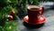 Hot beverage near decorated conifer branches