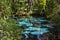 The hot blue and emerald geothermal pools. Juniper Springs Florida.