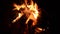 Hot burning campfire in the dark wilderness