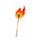 Hot burning fire wood match, for camping, hiking use