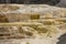 Hot, carbonate rock called travertine forms terraces in Yellowstone, Wyoming.