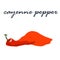 Hot cayenne pepper powder illustration