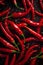 Hot chili peppers depicted in contrast against a dark background. The juicy, red peppers create a visual effect.