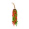 Hot chili peppers garland hanging ristra vector