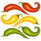 Hot chilli pepper vector set