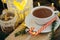 Hot chocolate with present, candy canes and Fir tree branch on d
