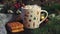 Hot cocoa with marshmallows, cinnamon, Viennese waffle in white mug, surrounded by winter Christmas tree branches with berries and