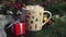 Hot cocoa with marshmallows, cinnamon in white mug, surrounded by winter Christmas tree branches with berries, red gift box and