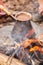 Hot coffee prepared in turk on open fire. Closeup