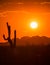 Hot desert sunset over saguaro, climate crisis, global warming