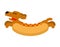 Hot dog dachshund. Pet Animal Hotdog. Vector illustration