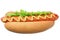 Hot dog grill with lettuce and mustard isolated on white background. fast food