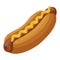 Hot dog icon, delicious grilled barbecue or lunch