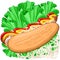 Hot Dog Sandwich with Sausage, Mustard, Ketchup, Lettuce and Onions Food Vector Illustration