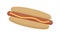 Hot dog. Vector isolated flat illustration fast food