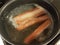 Hot dogs cooking in water in pot on stove