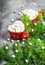 Hot drink marshmallow Christmas decoration pine tree branches