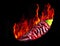 Hot dryed chili peppers on a black background on flames