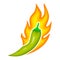 Hot finger pepper with sharp taste. Green chili is in fire flame. Spice with pungent flavor.