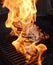 Hot flames engulf grilled rack of lamb
