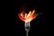 Hot hot red pepper on a fork fire burning on a black background