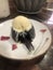 hot lava cake topped with vanila ice cream