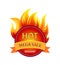 Hot Mega Sale Discount Badge Offer, Burning Fire