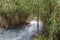 Hot Mill waterfalls of  cascate dele Mulino. Grosseto, Tuscany, Italy