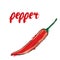 Hot peppers. Red pepper. Vegetables vector.