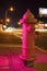 Hot Pink Fire Hydrant