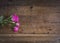 Hot pink miniature roses peek in from the left on the scratched pine plank table for a rustic wedding background