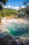 Hot pool at Tokaanu Thermal Area in New Zealand