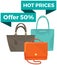 Hot price sale poster with womens bag. Discount, special offers promotion, shopping advertisement