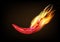 Hot red chili peppers and flames on dark background