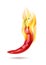 Hot red chili peppers and flames, vector icon