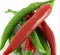 Hot red and green chilies