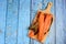 Hot smoked salmon bones on wooden kitchen board. Blue wooden board background.