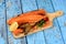 Hot smoked salmon bones on wooden kitchen board. Blue wooden board background.