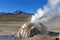 Hot spring at El Tatio Geysers with steaming geysers, hot springs, boiling water all around at sunrise, Chile, South America