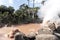 Hot spring Jigoku with boiling mud in volcanic pool in Beppu, Japan