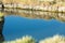 Hot spring oasis in the Black Rock desert