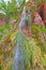 Hot Spring Waterfall with Colorful Algae