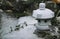 Hot Springs, Boiling and steaming water in geyser vent. Steaming geothermal hot water, Large stones arranged, Boiling water splash