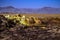 Hot springs in Dallol, Danakil Desert, Ethiopia