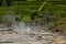 Hot springs and fumaroles at lake Lagoa das Furnas, Azores