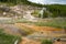 Hot springs and geysers including Blood Geyser along the Artists Paint Pots trail in Yellowstone National Park Wyoming