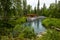 Hot Springs of the Liard River in Canada